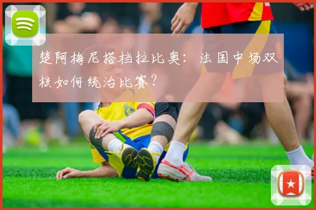 楚阿梅尼搭档拉比奥：法国中场双核如何统治比赛？