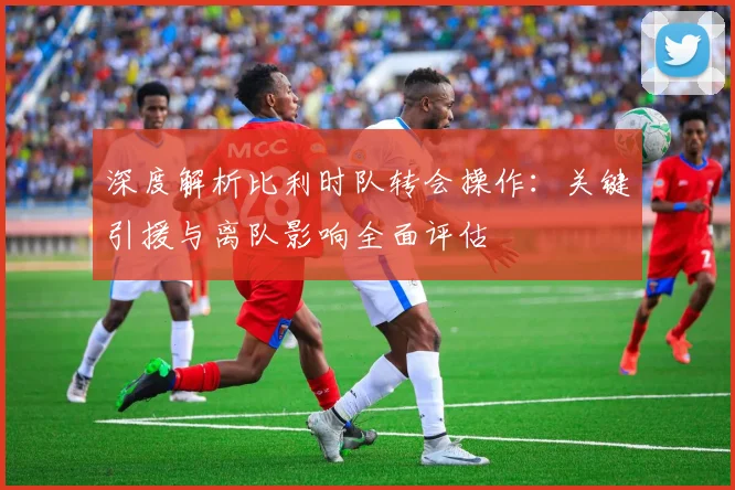 深度解析比利时队转会操作：关键引援与离队影响全面评估