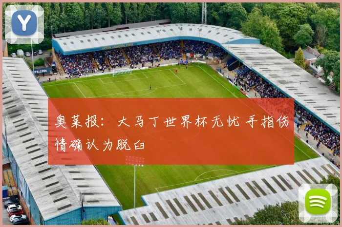 奥莱报：大马丁世界杯无忧 手指伤情确认为脱臼